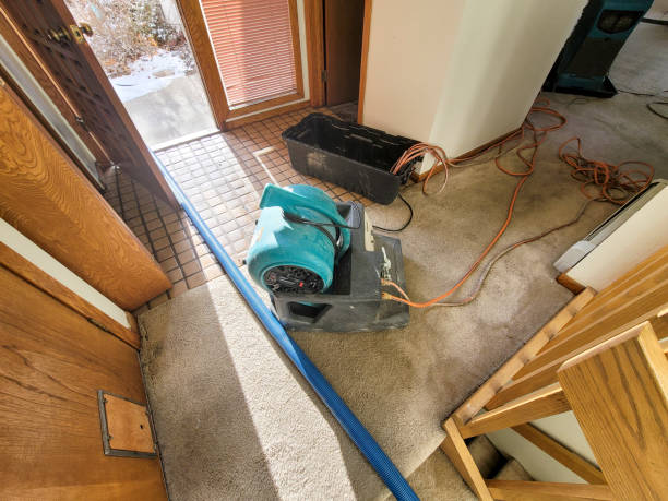 Trusted Bethany, MO Water damage restoration Experts